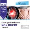 Kök Hücre ile Diz Tedavisi